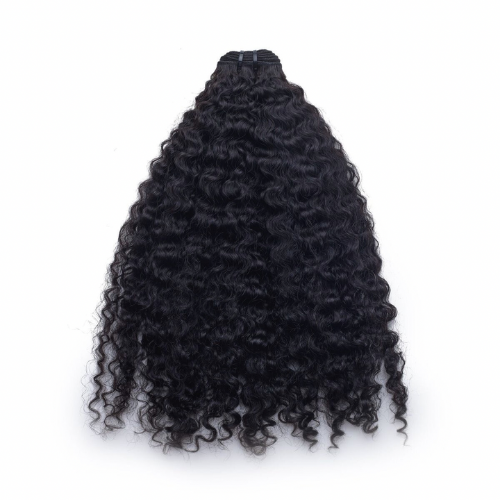 Raw Vietnamese Hair - Jet Black